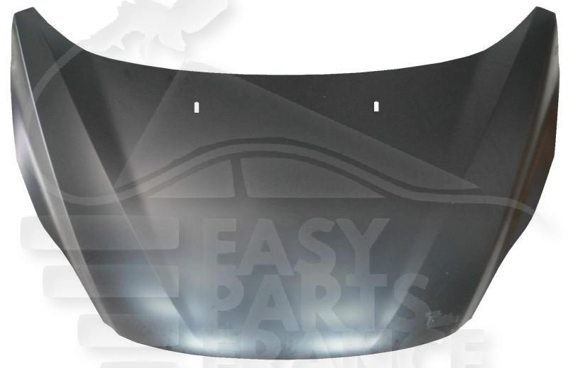 CAPOT Pour FORD GRAND C MAX - FD250 10/10→06/15