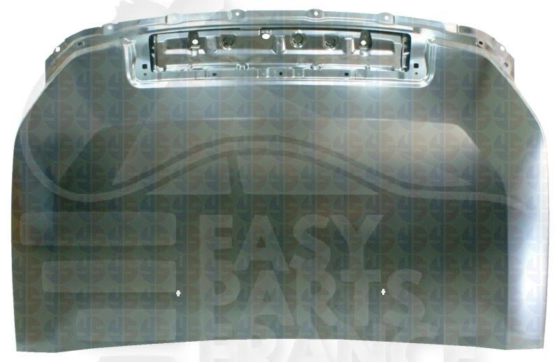 CAPOT Pour TOYOTA FJ CRUISER - TY110 04/07→