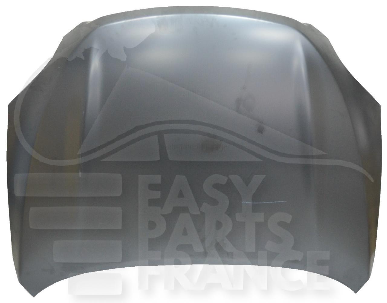 CAPOT Pour TOYOTA RAV 4 - TY195 05/09→04/10